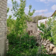 1/3 доля в праве на жилое здание, площадь: 64,4 кв.м., адрес (местонахождение): Липецкая область, рн. Данковский, г. Данков, ул. Верхняя Куликовская, д. 23, кадастровый номер: 48:03:0691874:36