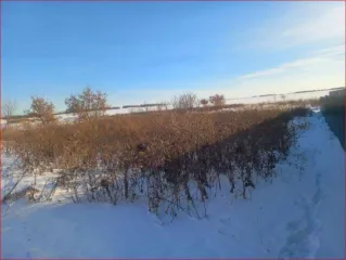 Земельный участок, 2500 кв.м, Челябинская область, Аргаяшский район, п. Комсомольский, ул. Степная, д. 34, категория земель: Земли населенных пунктов, разрешенное использование: для индивидуального жилищного строительства, кадастровый номер: 74:02:1104001:147, Ограничения прав на земельный участок…
