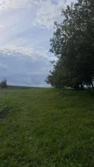 Земельный участок, площадь 644 +/  9 кв.м., назначение: для ведения личного подсобного хозяйства, адрес  местонахождение : Россия, Респ Марий Эл, р н Моркинский, д Балдырка, ул Родниковая, кадастровый  условный  номер: 12:13:0300101:303, вид собственности: индивидуальная.
