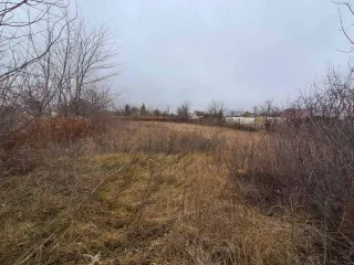 Земельный участок, площадь 783 +/- 20 кв.м., адрес (местонахождение): Самарская область, Ставропольский район, с. Выселки СНТ "Зеленая Даль", массив 1, улица 1,участок №12, кадастровый (условный) номер: 63:32:1202001:343, вид собственности: индивидуальная.
