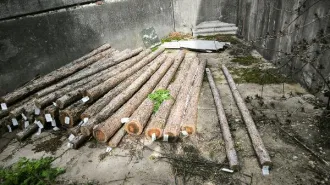 Верхушки Х32-Х39 8 штук.