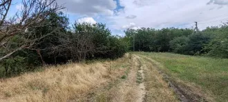 Земельный участок 518 кв.м, Андроповский район, Ставропольский край, площадь 518 +/- 8 кв.м, кадастровый номер 26:17:040903:1013, адрес: Российская Федерация, Ставропольский край, Андроповский район, с. Султан, пер. Западный, категория земель: земли населенных пунктов, виды разрешенного…