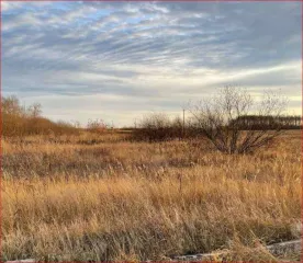 Земельный участок площадью 1 000 000 кв.м в Курганской области, Шадринский район, МО Краснонивинский сельсовет, в границах бывшего ЗАО НП "Совхоз Шадринский". Кадастровый номер: 45:20:051301:231. Категория земель: земли сельскохозяйственного назначения. Вид разрешенного использования: для…