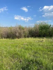 Земельный участок в Ульяновской обл., 600 кв.м, площадь: 600кв.м., адрес (местонахождение): 433391,УЛЬЯНОВСКАЯ ОБЛАСТЬ,УЛЬЯНОВСКАЯ ОБЛАСТЬ,р-н. Сенгилеевский,,с. Шиловка,ул. 8 Марта,111, кадастровый номер: 73:14:011701:2147