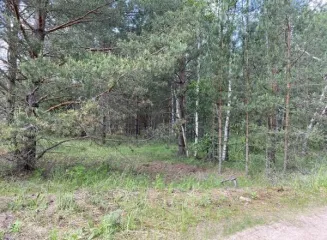 Земельный участок 923 кв. м, ЛПХ, д. Торжково, Судогодский округ. Площадью 923 кв. м для ведения личного подсобного хозяйства, расположенного в д. Торжково Судогодского муниципального округа. Основной вид разрешенного использования: 2.2. Площадь земельного участка в соответствии с проектом…