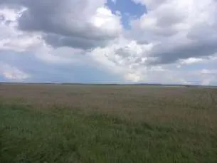 Право долгосрочной аренды земельного участка площадью 1 943 853 кв.м, кадастровый номер: 02:47:121101:10, адрес: Местоположение установлено относительно ориентира, расположенного в границах участка. Почтовый адрес ориентира: Республика Башкортостан, р-н. Уфимский, с/с. Николаевский. Имеются…