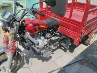 WORLD MOTORS WM250ZH-2-1 2023, марка: WORLD, модель: MOTORS WM250ZH-2-1, VIN: LPPHDNZC5P1000150, гос. рег. номер: 1943ММ54, год изготовления: 2023