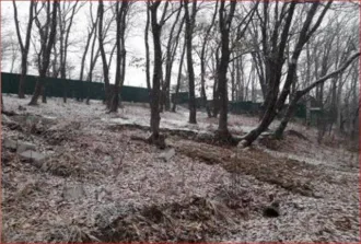 Земельный участок общей площадью 600 кв.м, кадастровый номер 25:28:050027:1883. Местоположение установлено относительно ориентира за пределами участка. Ориентир жилой дом. Участок находится примерно в 440 м по направлению на запад от ориентира. Почтовый адрес ориентира: Приморский край, г…