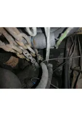 ВАЗ 2110, 1998 года выпуска, 89 л.с. Объем двигателя 1.5 л (1499 см³). VIN: XTA211000X0085829. Государственный регистрационный номер: Т187СТ36.