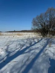 Земельный участок, площадь 1004+/11 кв.м., кадастровый (условный) номер: 27:17:0300701:882
Адрес (местонахождение): Россия, край Хабаровский, р-н Хабаровский, с Галкино, кв-л Дружный, дом 25