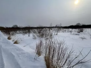 Земельный участок, кадастровый номер 72:17:2316007:54, местоположение: Тюменская область, Тюменский район, СНТ "Горошинка-3", ул. Рябиновая, участок №52. Площадь: 981 ±55 кв. м. Категория земель: земли сельскохозяйственного назначения. Виды разрешенного использования: для ведения садоводства и…