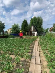 Земельный участок 764 кв.м., ХМАО-Югра. Категория земель: земли сельскохозяйственного назначения, разрешенное использование: под садоводство. Находится по адресу: Ханты-Мансийский автономный округ - Югра, р-н Нефтеюганский, урочище «Сингапайский остров», район КНС-7, СНТ «Энергетик», участок № 56…