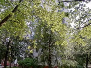 Нежилое помещение 162,8 кв. м, Соколиной Горы 5-я ул, д. 25, корп. 1, пом. 1/1, Москва, нежилое помещение по адресу: г. Москва, ул. Соколиной Горы 5-я, д. 25, корп. 1, пом. 1/1, общей площадью 162,8 кв. м. (Этаж № 1), кадастровый номер: 77:03:0004007:6448, Назначение нежилого помещения: Свободное…