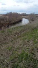 Земельный участок площадью 1252 +/- 9 кв. м. Категория земель: земли населенных пунктов. Разрешенное использование: для ведения личного подсобного хозяйства. Адрес: Российская Федерация, Ульяновская область, Майнский район, МО «Тагайское сельское поселение», с. Уржумское, ул. Центральная, 10А…