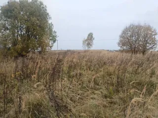 Земельный участок КН 50:18:0080104:1010 1279 кв.м Московская область Аукцион в отношении земельного участка с КН 50:18:0080104:1010 Площадь земельного участка: 1279 Кадастровый номер земельного участка: 50:18:0080104:1010 Основной вид разрешенного использования: 2.1