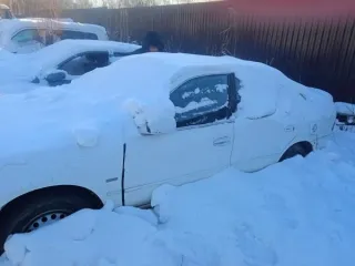 Toyota Sprinter 1991 года, госномер С202УХ27, номер кузова АЕ1005015596, цвет белый. Марка Sprinter, модель Toyota.