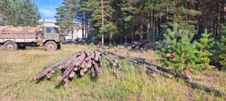 Древесина породы сосна в виде жердей в количестве 132 шт., объемом 3,9 куб.м. Количество и породный состав древесины: древесина в виде бревен деревьев сосна в количестве 132 шт, объемом 3,9 куб.м.