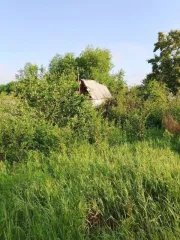 Земельный участок 446 кв.м Челябинская область, площадь 446 кв.м, адрес Российская Федерация, Челябинская область, городской округ Копейский, город Копейск, территория СНТ Кировец, земельный участок 1187, категория земель Земли населенных пунктов, разрешенное использование Для садоводства…