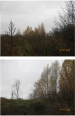 земельный участок, государственная собственность на который не разграничена, расположенный по адресу: Российская Федерация, Нижегородская область, городской округ город Нижний Новгород, деревня Кусаковка, улица Изосимлевская, земельный участок 26Б, кадастровый номер 52:24:0040201:7072, с видом…