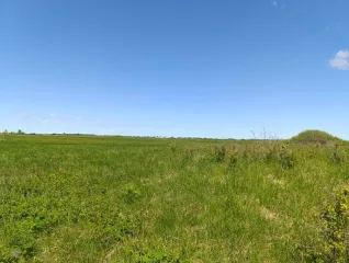 Земельный участок 94 000 кв. м, Калининградская обл., Гурьевский р-н, расположен юго-западнее пос. Голубево, с северо-запада от железной дороги, кадастровый номер 39:03:080821:147, земли промышленности, энергетики, транспорта, связи, радиовещания, телевидения, информатики, земли для обеспечения…