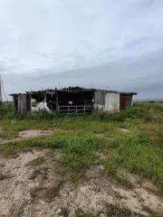 Нежилое здание (свинарник), площадью  1281,8 кв.м., с кадастровым номером 02:19:241002:170, расположенный по адресу: Республика Башкортостан, Гафурийский район, с. Утяково, ул. Чкалова, д. 31б. Нежилое здание (свинарник), площадью  1281,8 кв.м., с кадастровым номером 02:19:241002:170, расположенный…