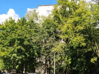 Жилое помещение 45.1 кв.м Москва жилое помещение по адресу: г. Москва, ул. Хабаровская, д. 19, к. 1, кв. 41, общей площадью 45,1 кв.м, (этаж № 02), кадастровый номер: 77:03:0002018:11140 Вид жилого помещения: Жилое Общая площадь: 45.1