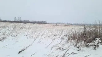 Земельный участок площадью 4.87 га (48721 кв. м), кадастровый номер 60:01:0220102:85. Местоположение установлено относительно ориентира, расположенного в границах участка. Почтовый адрес ориентира: Псковская обл., Бежаницкий р-н, СП «Бежаницкое», урочище Чисть. Категория земель – земли…