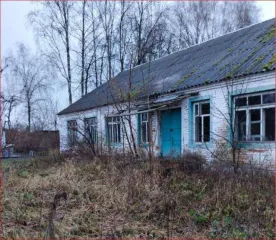 Земельный участок площадью 3 473 кв.м., адрес: Российская Федерация, Брянская область, муниципальный район Почепский, сельское поселение Краснорогское, село Милечь, категория земель: Земли сельскохозяйственного назначения, разрешенное использование: ЛПХ, кадастровый номер: 32:20:0560103:14…