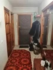 Квартира, Ханты-Мансийский автономный округ - Югра, г. Нефтеюганск, мкр 8А, д 43, кв 60, кадастровый номер: 86:20:0000055:2368. Регистрация перехода права собственности, снятие арестов и ограничений осуществляется покупателем самостоятельно за его счет.