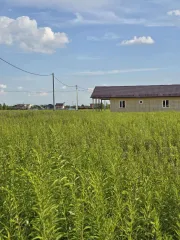 Земельный участок 600 кв.м, д. Першино (Московская область), расположенный по адресу обл. Московская, р-н Раменский, сельское поселение Ульянинское, д. Першино, общей площадью 600 кв.м., с кадастровым номером 50:23:0050563:2753.
