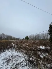 Земельный участок площадью 1306 кв.м в Тюменской области, Нижнетавдинский район, СНТ "Райские сады", улица Южная, участок №31. Кадастровый номер: 72:12:0804001:1780. Имущество находится в залоге у ПАО Сбербанк.