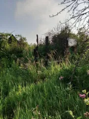 Земельный участок 446 кв.м Челябинская область, площадь 446 кв.м, адрес Российская Федерация, Челябинская область, городской округ Копейский, город Копейск, территория СНТ Кировец, земельный участок 1187, категория земель Земли населенных пунктов, разрешенное использование Для садоводства…