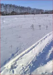 Земельный участок 501 кв.м, Омская область, с. Усть-Заостровка, ул. Березовая, 35, площадь: 501кв.м., адрес (местонахождение): Омская область, р-н Омский, с Усть-Заостровка, ул Березовая, д 35, категория земель: Земли населенных пунктов, разрешенное использование: Для размещения дома индивидуальной…