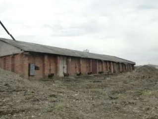 Здание, нежилое, кадастровый номер: 02:31:110205:131; адрес: Республика Башкортостан, Кармаскалинский район, с. Кармаскалы, ул. Аксакова, 56; общей площадью 97,7 кв.м.; здание, нежилое, кадастровый номер: 02:31:110205:138; адрес: Республика Башкортостан, Кармаскалинский район, с. Кармаскалы, ул…