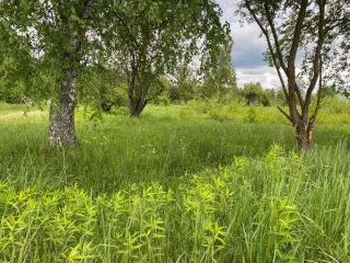 Земельный участок 2013 м², ИЖС, Гусь-Хрустальный, Владимирская область. Электронный аукцион на право заключения договора аренды земельного участка, расположенного по адресу: Владимирская область, город Гусь-Хрустальный, поселок Гусевский, улица Народная, дом 3. Категория земель: земли населенных…