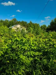 Земельный участок 500 м², КН 50:25:0070207:341, Московская область. Площадь земельного участка: 500. Кадастровый номер земельного участка: 50:25:0070207:341. Основной вид разрешенного использования: 2.2