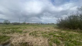 Аренда земельного участка 1 500 кв.м. под ведение садоводства в м.о. Истра (КН 50:08:0090330:1035). Площадь земельного участка: 1500. Кадастровый номер земельного участка: 50:08:0090330:1035. Вид разрешённого использования земельного участка: 13.2.