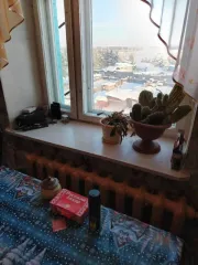 1/2 доли на квартиру в Бурятии еще 1/2 доля в праве на жилое помещение, площадь: 56,9кв.м., адрес  местонахождение : Российская Федерация, Республика Бурятия, м.р н Северо Байкальский, г.п. поселок Новый Уоян, пгт. Новый Уоян, ул. 70 лет Октября, д. 30, кв. 11, кадастровый номер: 03:17:090146:350