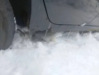 Toyota Avensis, 2000 года, 129 лс, 380000 км, АКПП, VIN: SB153ZBN10E012174, гос. номер: Е 848 УС 22, цвет: черный. Имеется коррозия порогов, арок, в том числе сквозная коррозия. Отслоение лакокрасочного покрытия, трещины и царапины по кузову автомобиля. Наличие хода у автомобиля не проверялось…