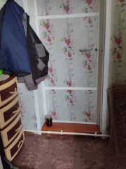 Доля квартиры 12,3 кв.м в Тверской области, 1/3 доли в праве на квартиру. Адрес: Тверская область, Вышневолоцкий район, сельское поселение Коломенское, железнодорожная станция Академическая, дом 4, квартира 4. Кадастровый номер: 69:06:0190601:49. Вид собственности: общая долевая. Назначение: жилое…