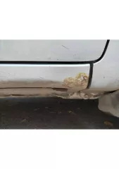 Toyota Corolla Runx, 2003 г.в., модель, двигатель 1NZ 2755858, кузов NZE121-0235316, цвет серый, мощность 109 л.с. (81.75 кВт).
