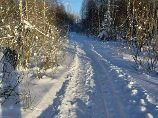 Земельный участок, 370086 +/- 213 кв.м, кадастровый 18:08:006001:1001, Удмуртская Республика, Завьяловский район.