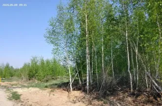 Земельный участок 690 кв.м, ИЖС, д.Новоликеево, Нижегородская область. Земельный участок, государственная собственность на который не разграничена, расположенный по адресу: Российская Федерация, Нижегородская область, Кстовский муниципальный округ, д.Новоликеево, 100 м юго-западнее ул. Школьной…