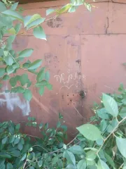 Гараж 25.5 кв.м. и земельный участок 28 кв.м. в Тамбове, здание (нежилое здание, гараж) площадью 25.5 кв.м., кадастровый номер: 68:29:0209047:5488, назначение: нежилое. Этажность: 1, расположенного по адресу: Тамбовская область, г. Тамбов, ГСК «Прожектор» в районе ул. Магистральной, № 30, ряд 28 и…