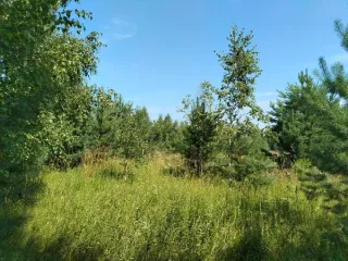 Земельный участок, 1504 кв.м, с кадастровым номером 52:07:0600032:585, по адресу Нижегородская обл., Сокольский р-н, с/с Волжский, д. Рошвенская, ул. Цветочная, д. 22. Основной вид разрешенного использования: 2.1.