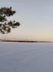 Земельный участок для возделывания сельскохозяйственной культуры. Местоположение установлено относительно ориентира, расположенного в границах участка. Почтовый адрес ориентира: Республика Башкортостан, Бижбулякский район, Михайловский сельсовет. Площадь: 51869577. Кадастровый номер…