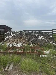Фрагменты стволов березы в чурках, 16,53 м³. Хранился на открытой площадке. Срублен предположительно в марте 2024 года. Находится в Емельяновском районе МО Шуваевский сельсовет. На данный момент состояние ухудшилось. Количество и породный состав древесины: фрагменты стволов деревьев породы береза в…