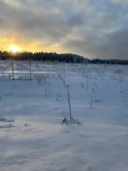 Земельный участок 1200 кв.м в Московской области, Сергиево-Посадский район, в районе деревни Новоселки, северо-восточная часть кадастрового квартала 50:05:0020237.