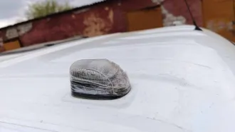 ГАЗ-A22R35 грузовой с бортовой платформой, 2019 года, VIN X96A22R35K2753569, гос. номер Р915НЕ142, кузов № A22R22K0102076, цвет белый, мощность двигателя 106,8 л.с., тип двигателя бензиновый, рабочий объем двигателя 2690 куб.см., с комплектом запасных колес, бывший в употреблении