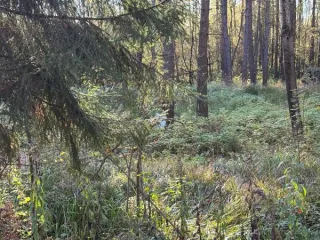 Земельный участок 993 кв.м Московская область Кадастровый номер 50:16:0102002:1262 Вид разрешённого использования 2.1